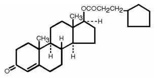 Buy Legal Testosterone