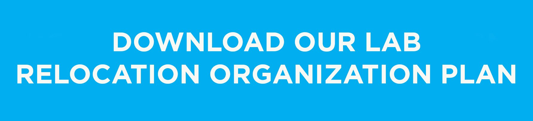 relocation organization plan