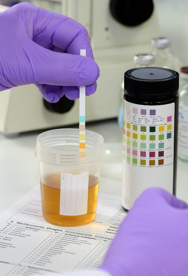 Toxicology Lab
