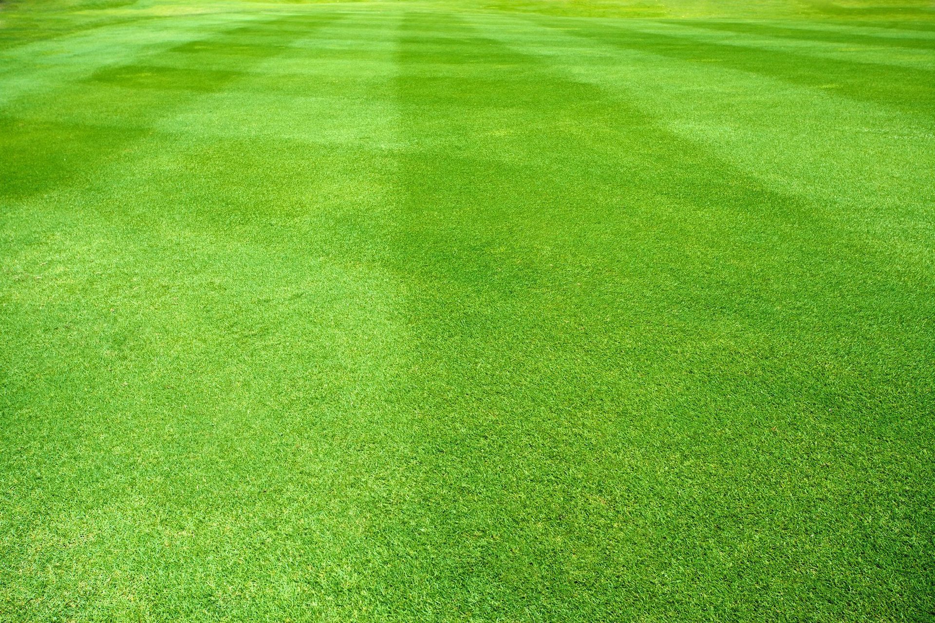 turfing solutions