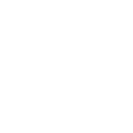 Battery Icon