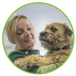 pet care
