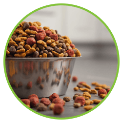 food for pets