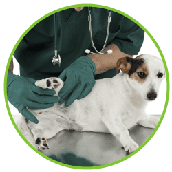 nurse clinic