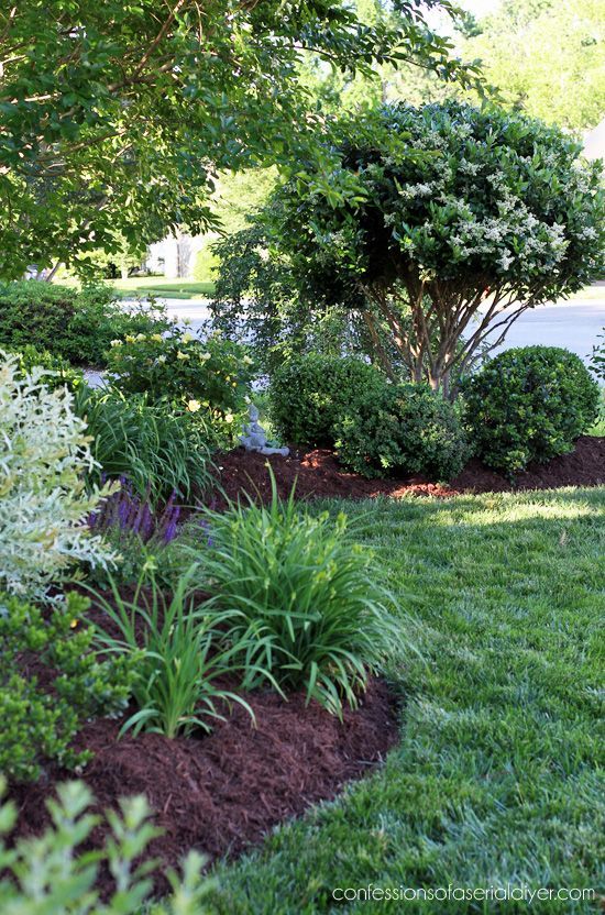 Lawn Care — Lawn Maintenance in Brunswick, GA Lawn Care — Lawn Maintenance in Brunswick, GA