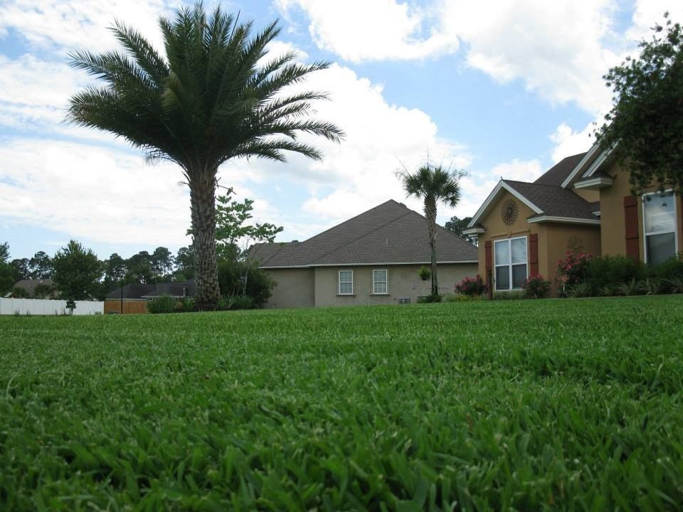 Turf — Grass and sod in Brunswick, GA Turf — Grass and sod in Brunswick, GA