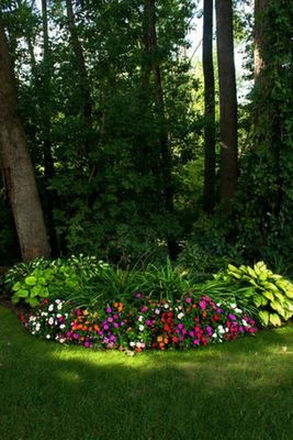 Fertilization — Different Design of Landscape in Brunswick, GA Fertilization — Different Design of Landscape in Brunswick, GA