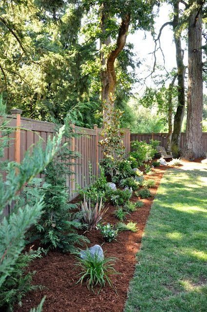Landscape Drawing — Landscape in Small Backyard in Brunswick, GA