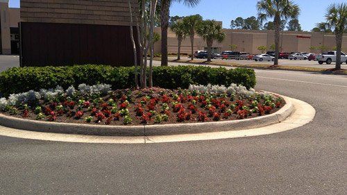 Business Lawn  — seasonal color in Brunswick, GA