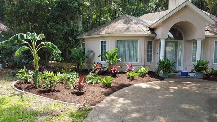 Curb appeal — Plants in Brunswick, GA