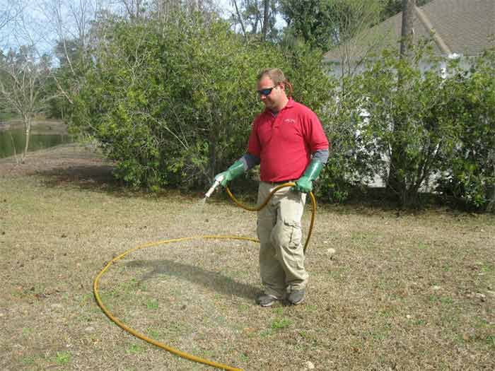 Weed — Spraying Herbicide in Brunswick, GA Weed — Spraying Herbicide in Brunswick, GA