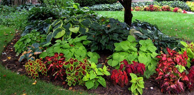 Lawn Maintenance — Different Leaves in Brunswick, GA