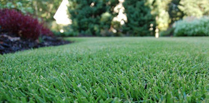 Grass Sodding — Grasses in Brunswick, GA