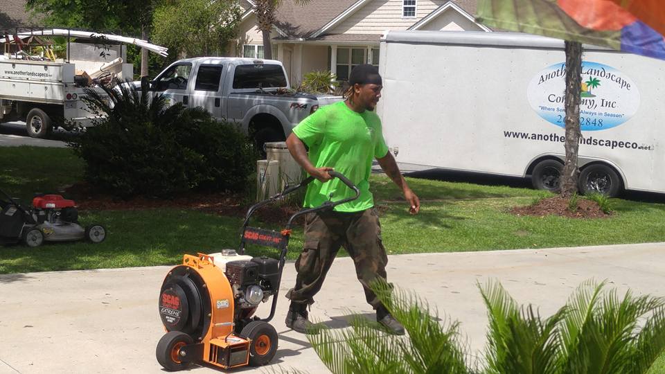 Lawn — professional care in Brunswick, GA Lawn — professional care in Brunswick, GA