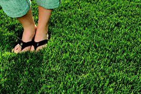 Herbicide — grass care in Brunswick, GA Herbicide — grass care in Brunswick, GA