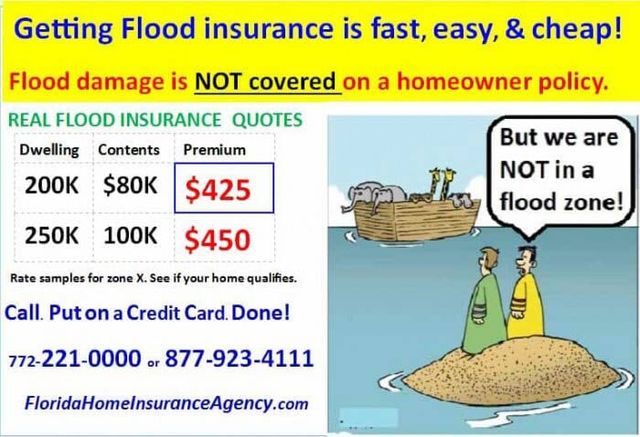 Flood Damage Advertisement — Insurance Services in Palm City, FL Flood Damage Advertisement — Insurance Services in Palm City, FL