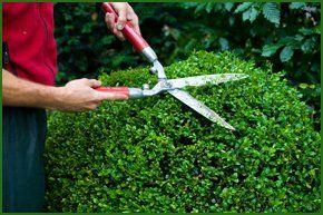 For garden clearance in Chesham call 01494 785 757 Hedgework