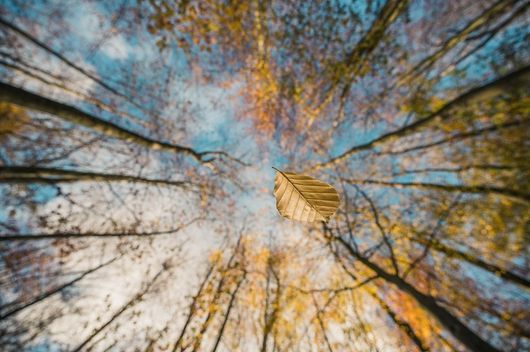 Copyright Unsplash - Shaojie