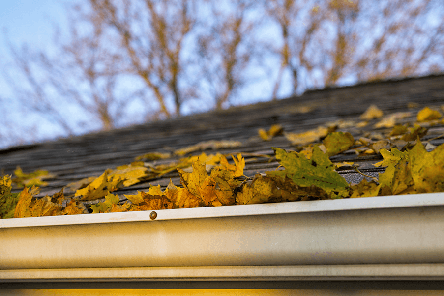 gutter cleaning houston