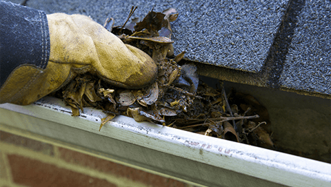 gutter cleaning houston