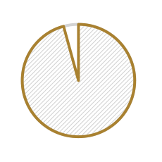 Gold-outlined pie chart with a large white section and a small slice at the top