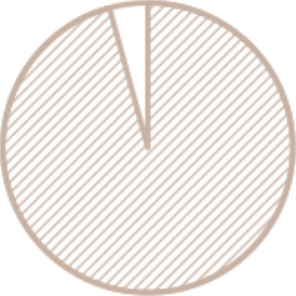 Beige striped pie chart with a small slice missing at the top.