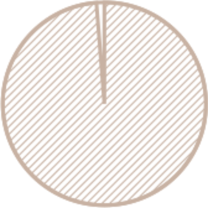 Beige striped circle outline icon