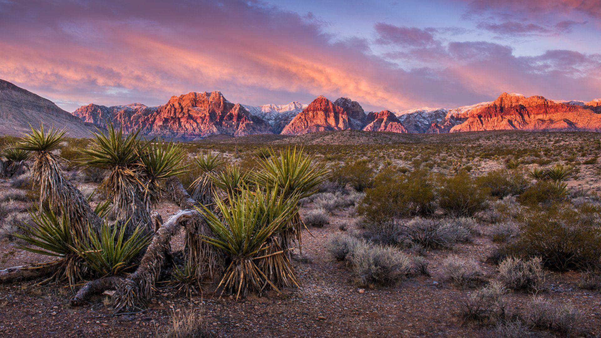affair recovery in Nevada