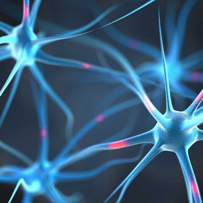 Neurological illustration
