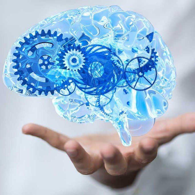 Brain illustration