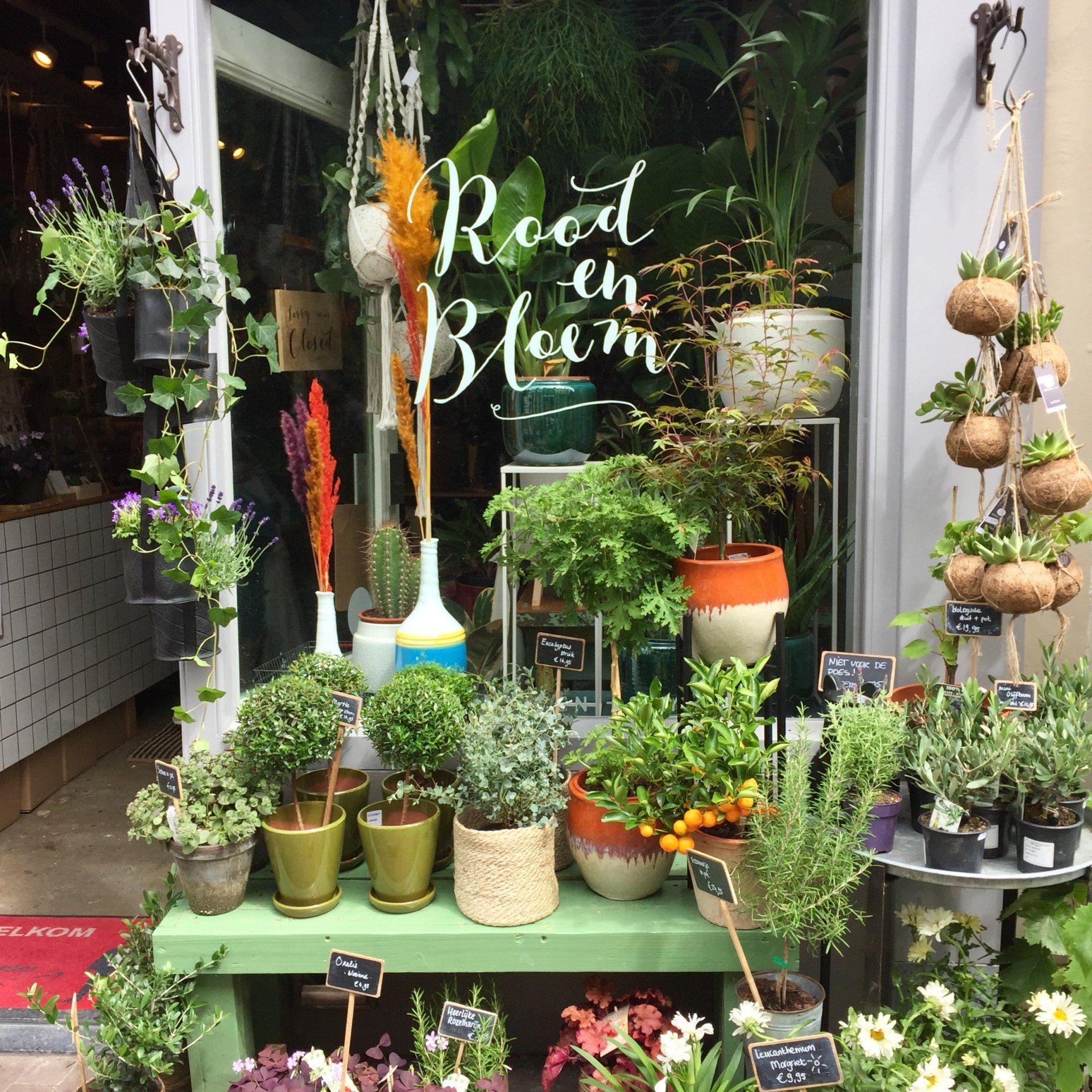 Winkel- en lifestyletip: Rood en Bloem in Utrecht