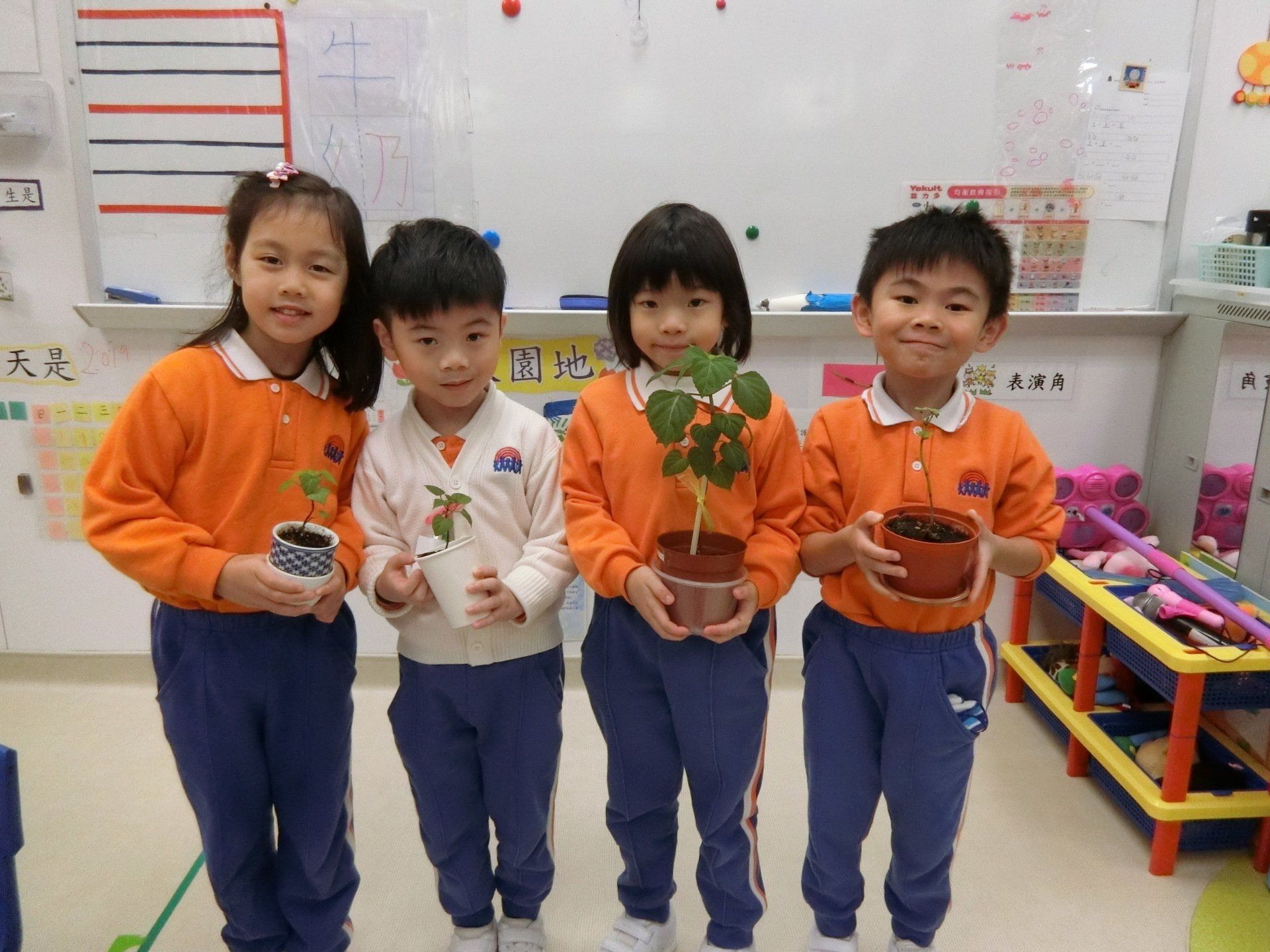 聖雅各福群會麥潔蓮幼稚園/幼兒中心(堅尼地道)