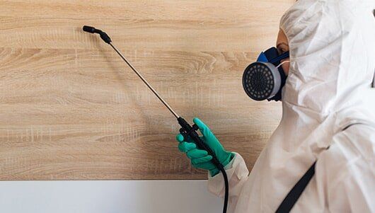 Spraying Pesticide — Pest Control in New Lenox, IL Spraying Pesticide — Pest Control in New Lenox, IL
