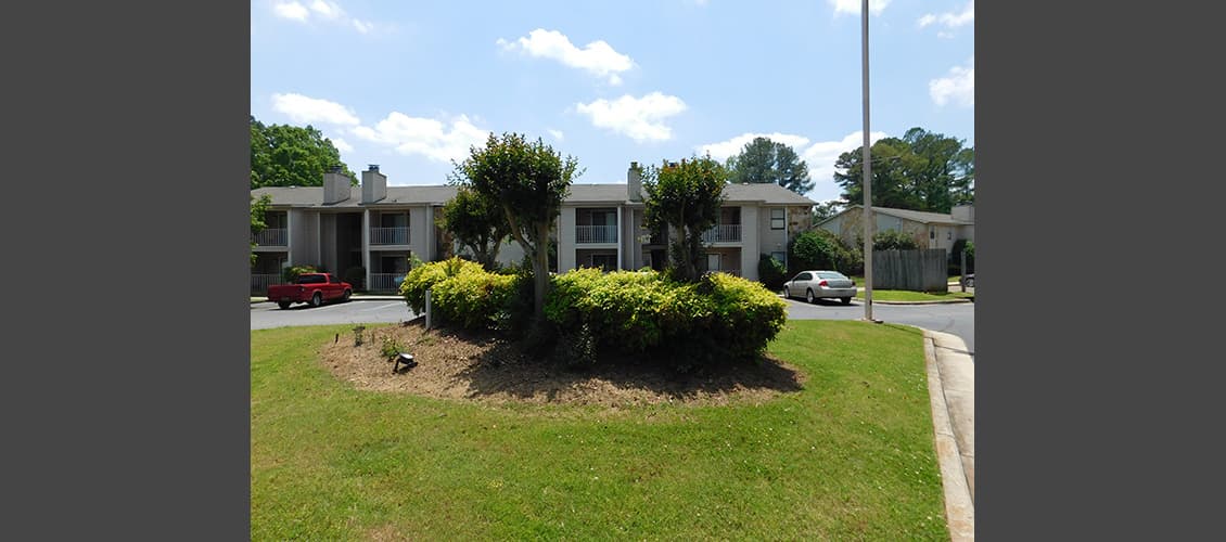 Pinehurst shrubs