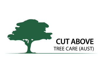 Cut Above Tree Care (QLD) Logo - Green Cut Above Tree Care (QLD) Logo - Green