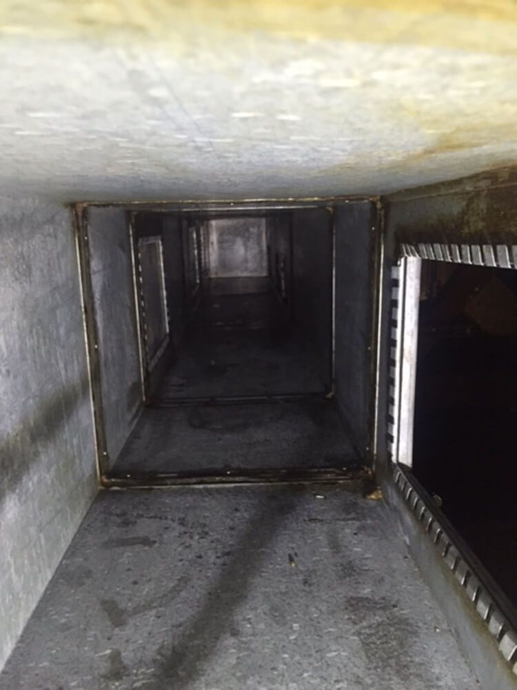 clean ventilation