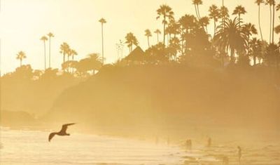 Laguna Beach Sunset - Tax Services in Garden Grove, CA Laguna Beach Sunset - Tax Services in Garden Grove, CA