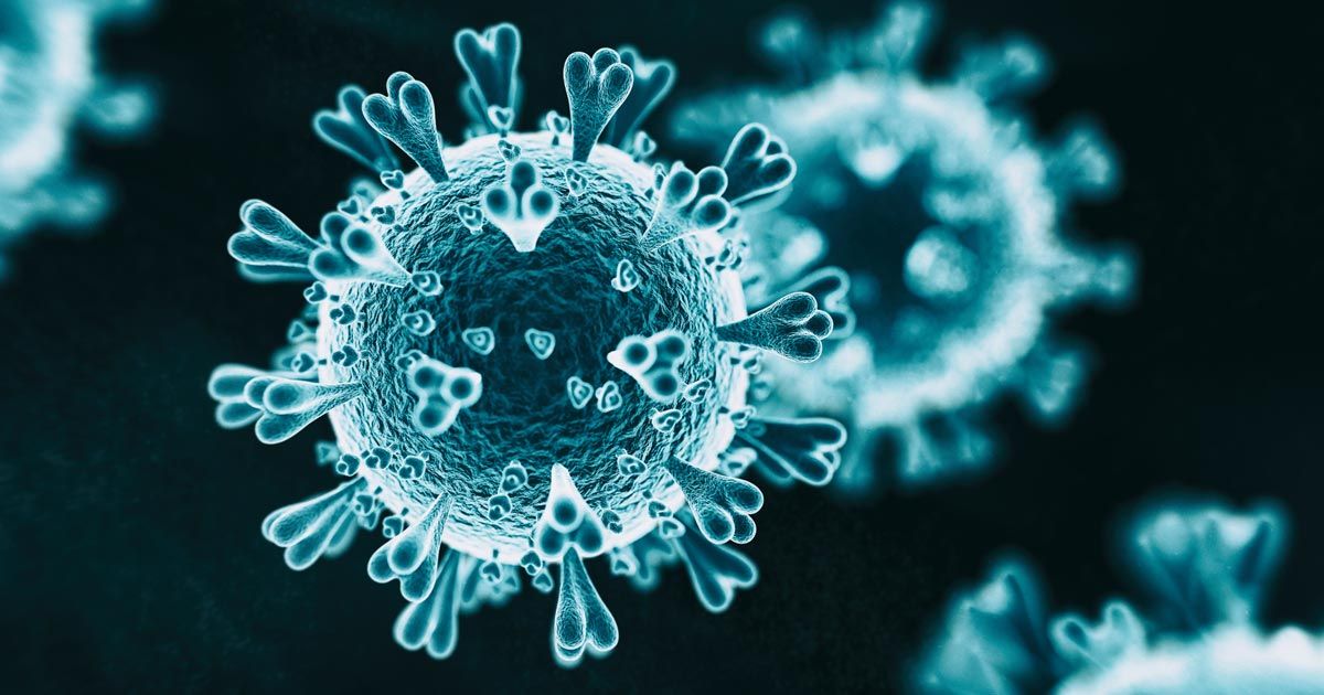 A close up of a virus under a microscope on a dark background.