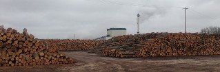 Stack of Logs - Lumber Sawmill Stack of Logs - Lumber Sawmill