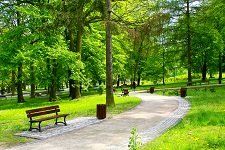 White Plains Parks