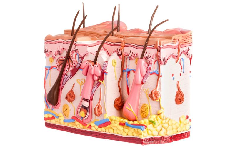 check-up dermatologico