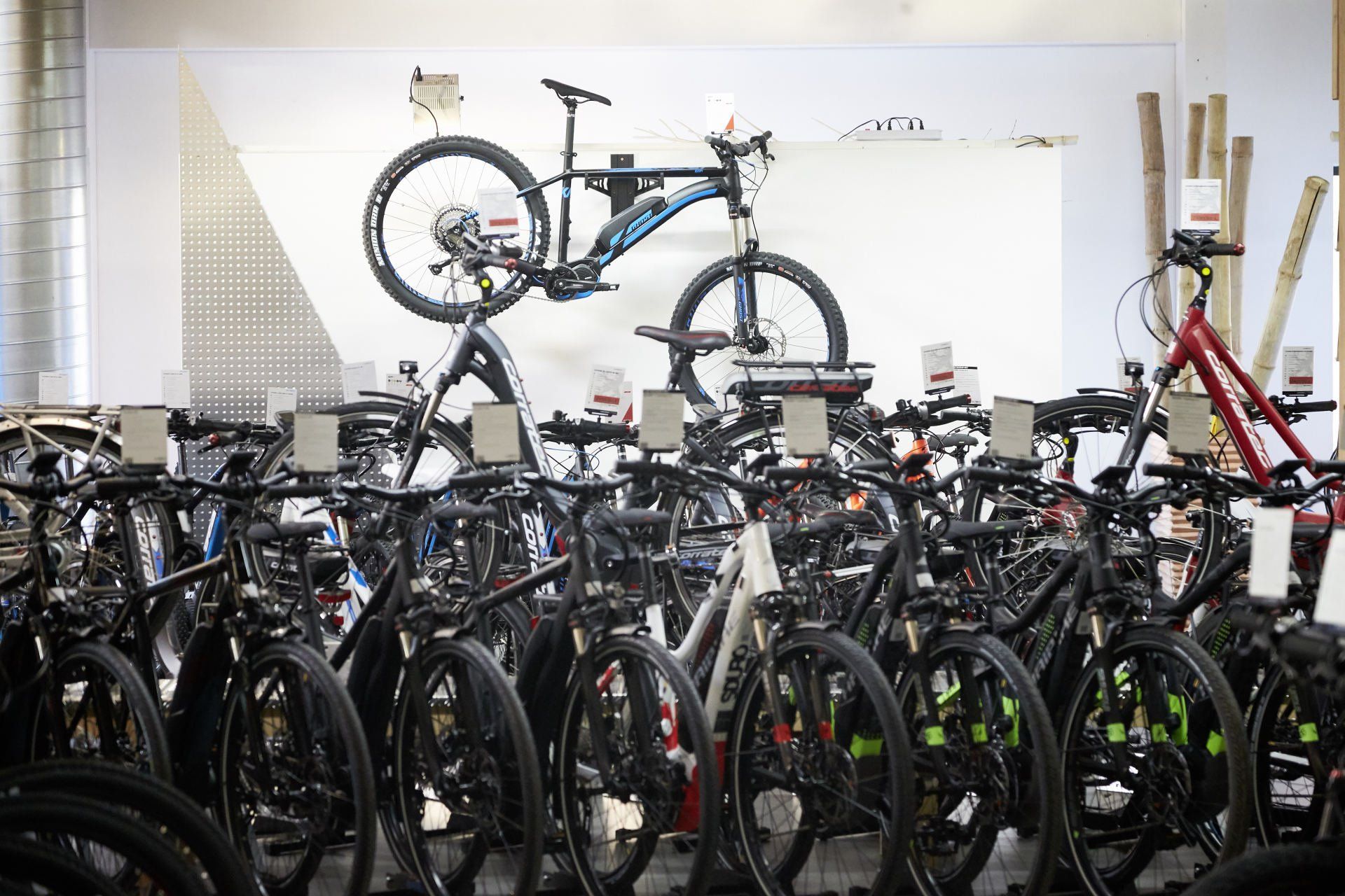 Bike World Baier Galerie Bild 29