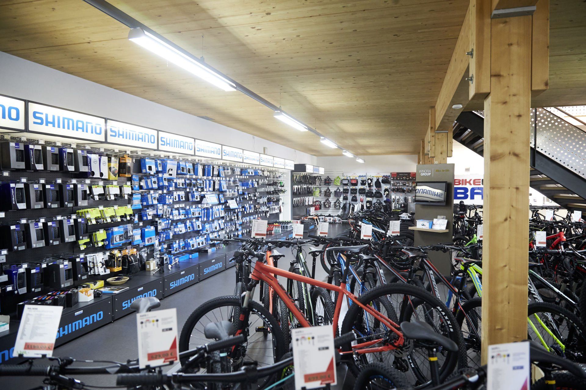 Bike World Baier Galerie Bild 38