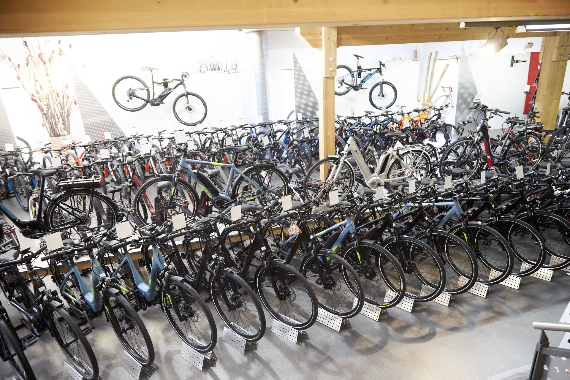 Bike World Baier Galerie Bild 36