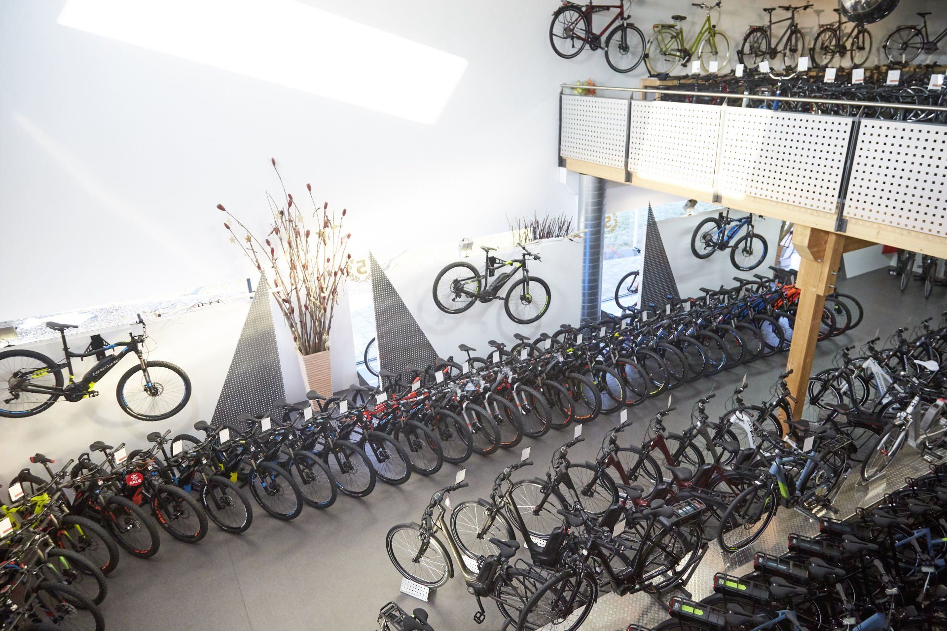 Bike World Baier Galerie Bild 35