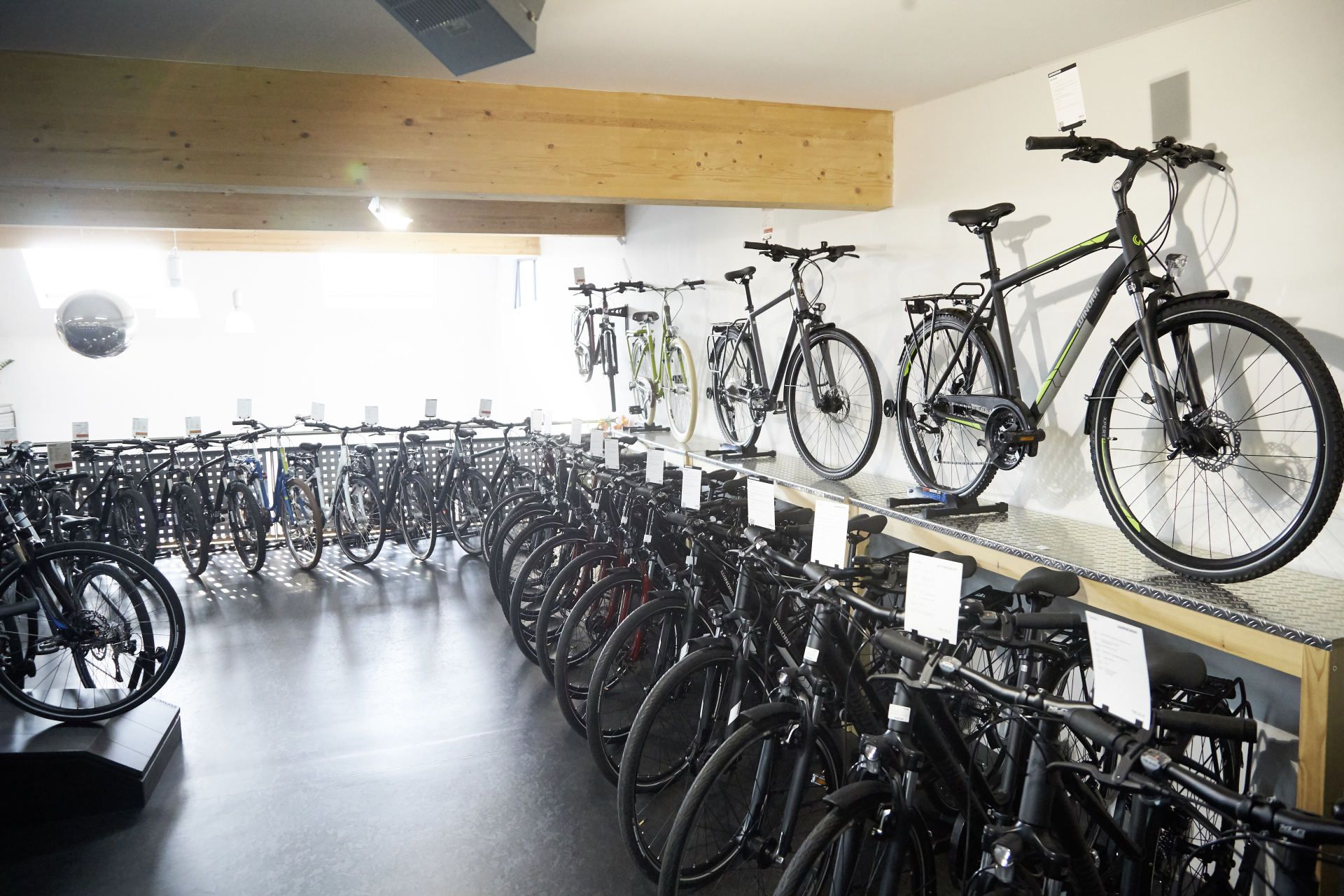 Bike World Baier Galerie Bild 18