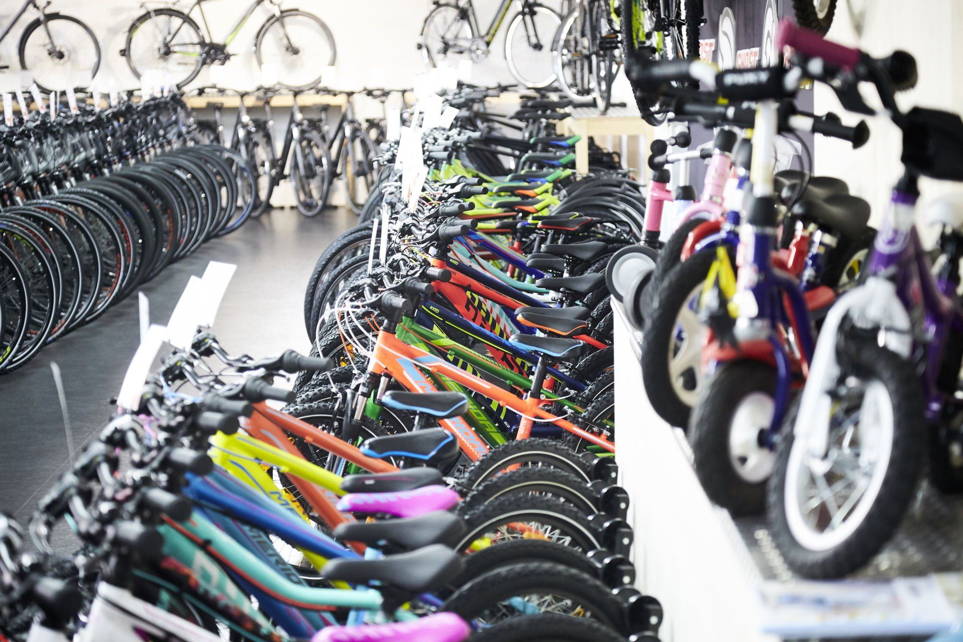 Bike World Baier Galerie Bild 22
