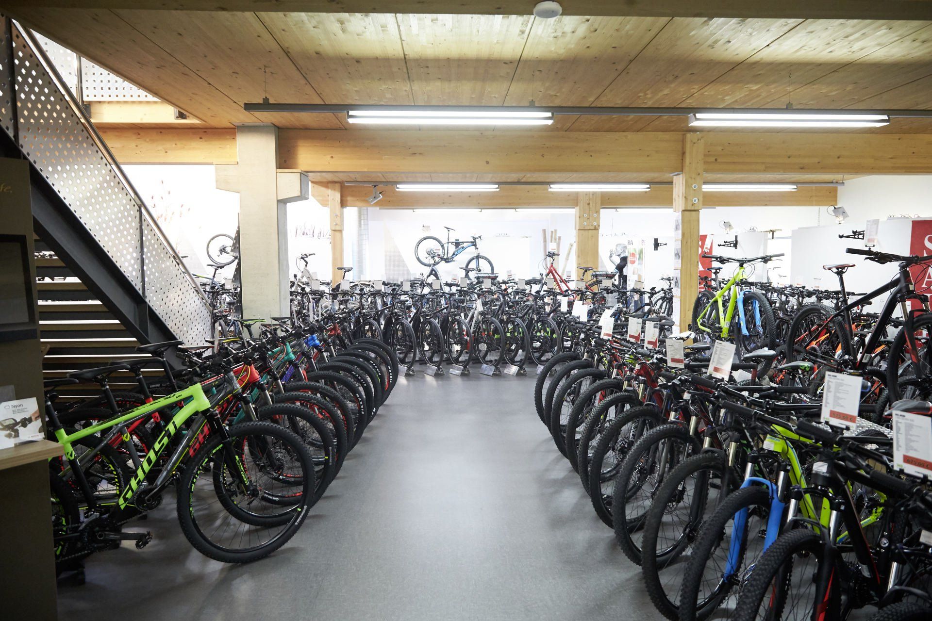 Bike World Baier Galerie Bild 40