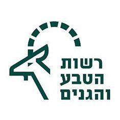 תוכנת דשבורד עסקית