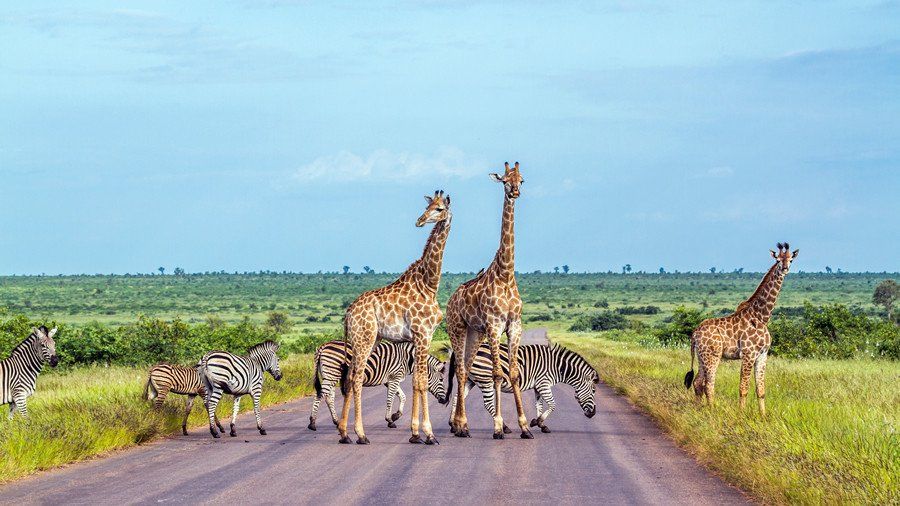 Namibia